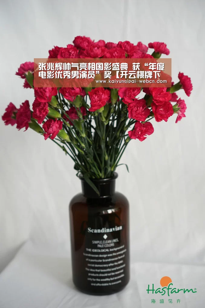开云棋牌官网