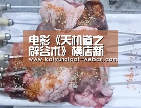 电影《天机道之辟谷术》横店新闻发布会圆满成功_开云棋牌下载(图4) 开云棋牌入口