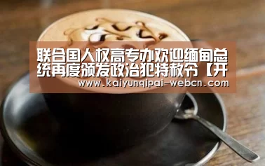 联合国人权高专办欢迎缅甸总统再度颁发政治犯特赦令【开云棋牌下载】(图1) 开云棋牌入口