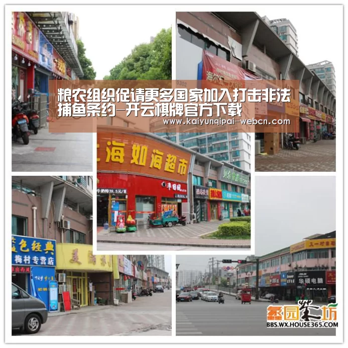 粮农组织促请更多国家加入打击非法捕鱼条约-开云棋牌官方下载(图1) 开云棋牌下载