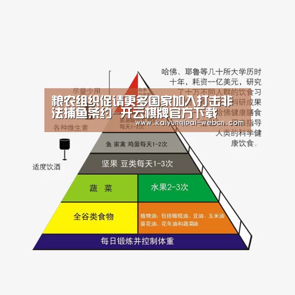 粮农组织促请更多国家加入打击非法捕鱼条约-开云棋牌官方下载(图3) 开云棋牌入口
