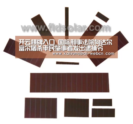 开云棋牌入口_国际刑事法院向达尔富尔屠杀平民肇事者发出逮捕令(图1) 开云棋牌下载